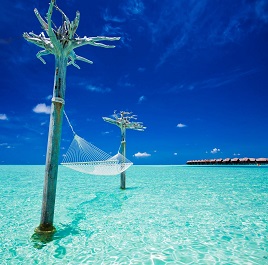 Honeymoon packages